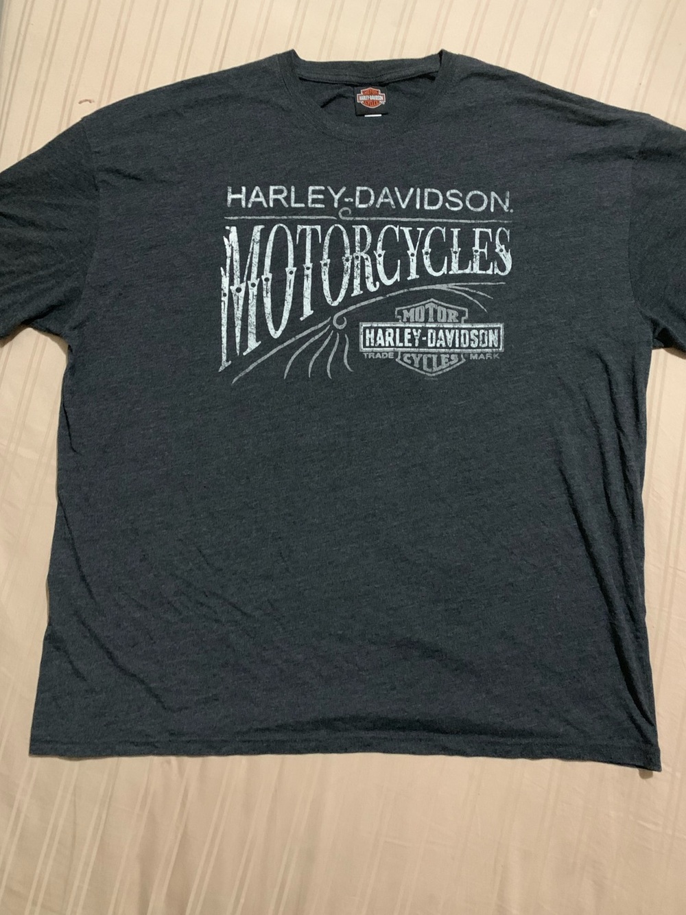 Harley-Davidson y2k Men’s Dark Gray Motorcycle Logo Tee Medicean hat AB